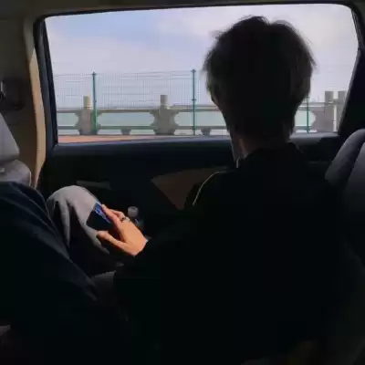 晏青梦